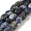 Natural Blue Spot Jasper Beads Strands G-B078-D33-04-1