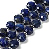 Natural Lapis Lazuli Beads Strands G-B153-B06-2