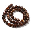 Natural Gemstone Beads Strands G-A215-01B-2