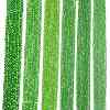 Electroplate Glass Beads Strands EGLA-A044-T2mm-A11-2