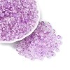 Transparent Glass Seed Beads SEED-N014-01A-04-1