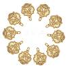 10Pcs Brass Pendants ZIRC-SZ0004-40-1
