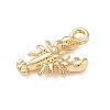 Alloy Pendants FIND-Z101-04G-01-2
