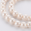 Natural Cultured Freshwater Pearl Beads Strands PEAR-N010-004-4