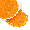 FGB Transparent Glass Seed Beads SEED-N013-01A-11-1