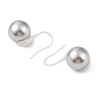 Hypoallergenic Bioceramics Zirconia Ceramic Dnagle Earrings EJEW-C111-17-2