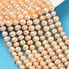 Natural Cultured Freshwater Pearl Beads Strands PEAR-L034-11C-1