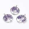 Natural Amethyst Pendants G-E419-03P-2