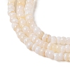 Natural Freshwater Shell Beads Strands SHEL-P017-01B-02-3