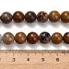 Natural Wealth Stone Beads Strands G-C289-B01-8mm-5