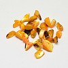 Dyed Natural Shell Nuggets Chips Beads BSHE-O007-04D-1