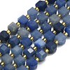 Natural Blue Aventurine Beads Strand G-I376-D52-01-1