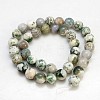 Natural Tree Agate Beads Strands X-G-H1633-10MM-2