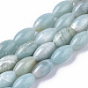 Natural Amazonite Beads Strands X-G-S364-050-1