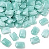 Opaque Acrylic Beads MACR-C037-06B-1