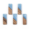 Resin & Walnut Wood Pendants RESI-S389-059B-2