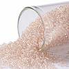 TOHO Round Seed Beads SEED-JPTR15-0169-1