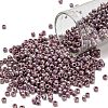 TOHO 8/0 Round Beads X-SEED-TR08-0412-1