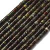 Natural Dragon Blood Beads Strands G-P608-A11-01-2