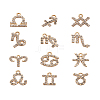 Zinc Alloy Pendants ALRI-FW0001-03G-20