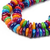 Natural Freshwater Shell Beads Strand SHEL-T017-41-3