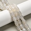 Natural Agate Beads Strands G-D317-A01-09-1