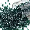 TOHO Round Seed Beads SEED-XTR08-0118-1