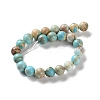 Dyed Natural Regalite/Imperial Jasper/Sea Sediment Jasper Beads Strands X-G-B124-C01-15-3