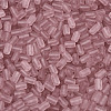 FGB Frosted Transparent Glass Seed Beads SEED-N013-05A-06-3
