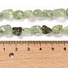 Natural Prehnite Beads Strands G-P497-01E-39-5