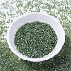 MIYUKI Delica Beads LS-X-SEED-J020-DB1247-2
