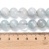 Natural Aquamarine Beads Strands G-F826-B01-10mm-5