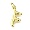 Brass Pendants KK-V007-35G-1