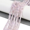 Natural Amethyst Beads Strands G-F782-B04-02-2