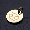 201 Stainless Steel Charms STAS-T049-T644-4G-2