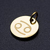 201 Stainless Steel Charms STAS-T049-T644-4G-2