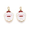 316 Surgical Stainless Steel Enamel Charms STAS-S116-388G-1