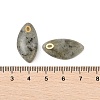 Natural Labradorite Pendants STAS-P380-80G-03-3