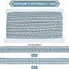 Metallic Polyester Ribbon OCOR-WH0065-14B-2