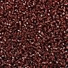 MIYUKI Delica Beads X-SEED-J020-DB2160-3