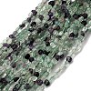 Natural Colorful Fluorite Beads Strands G-I389-A21-2