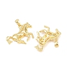 Brass Pendants KK-P353-21G-02-2