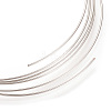Stainless Steel Memory Wire STAS-S074-05-3