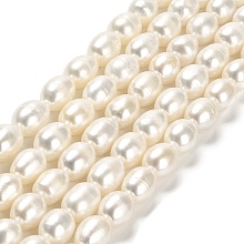 Natural Cultured Freshwater Pearl Beads Strands PEAR-E016-091