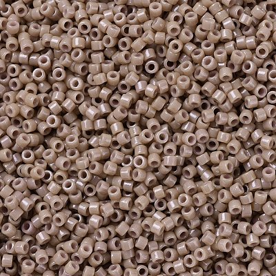 MIYUKI Delica Beads X-SEED-J020-DB2105-1