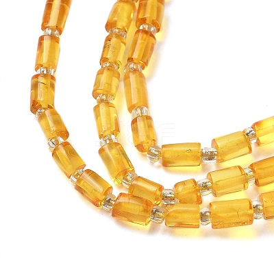 Natural Amber Beads Strands G-K387-G01-01-1