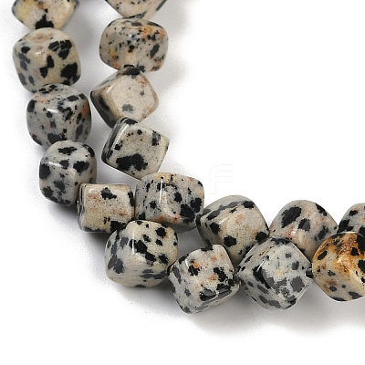Natural Dalmatian Jasper Beads Strands G-A257-A17-01-1