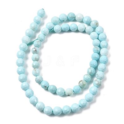 Natural Magnesite Beads Strands G-P598-E-6mm-01-1