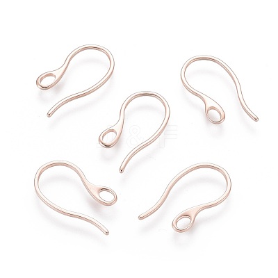 304 Stainless Steel Earring Hooks STAS-O110-19RG-1