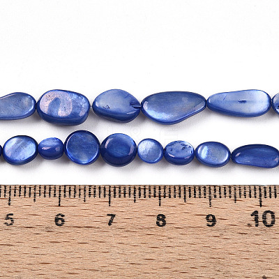 Natural White Shell Beads Strands SHEL-N036-21B-1